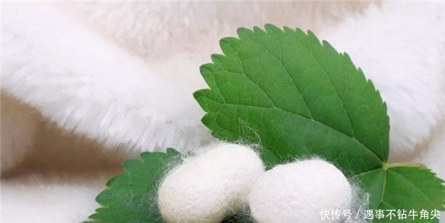 做礼物、做衣服、搞玄学,小小蚕丝为何在先秦发挥大大作用?!