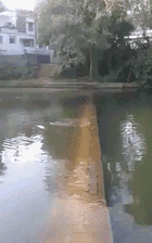 |搞笑GIF图:有这样的老婆 肯定能少活好几年