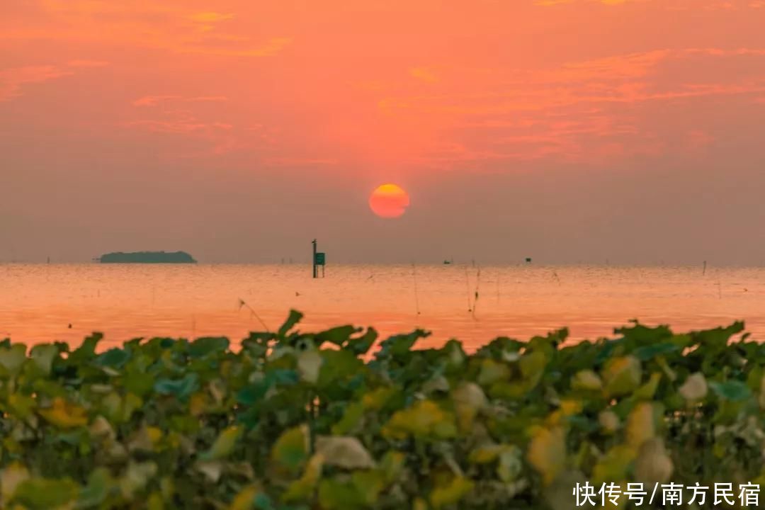 苏州太湖3家私享一线湖景网红民宿,泡私汤吃美食丨南方民宿
