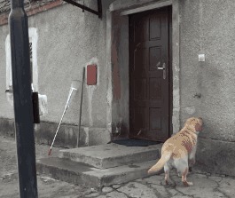 |搞笑GIF：女生喝多了什么都做的出来，她最后那几下是什么意思？