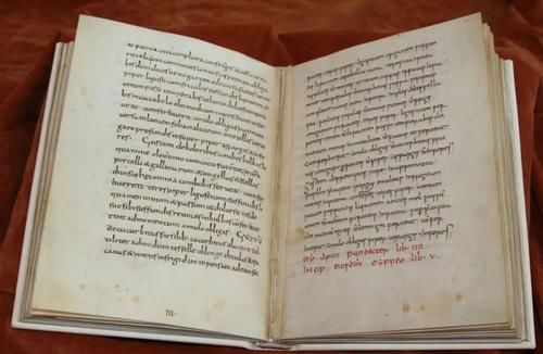  热饮|满大街热饮，难道我不配有姓名？！