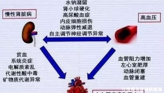肾脏|患上高血压后的病人，应该如怎么保护肾？看完之后恍然大悟！