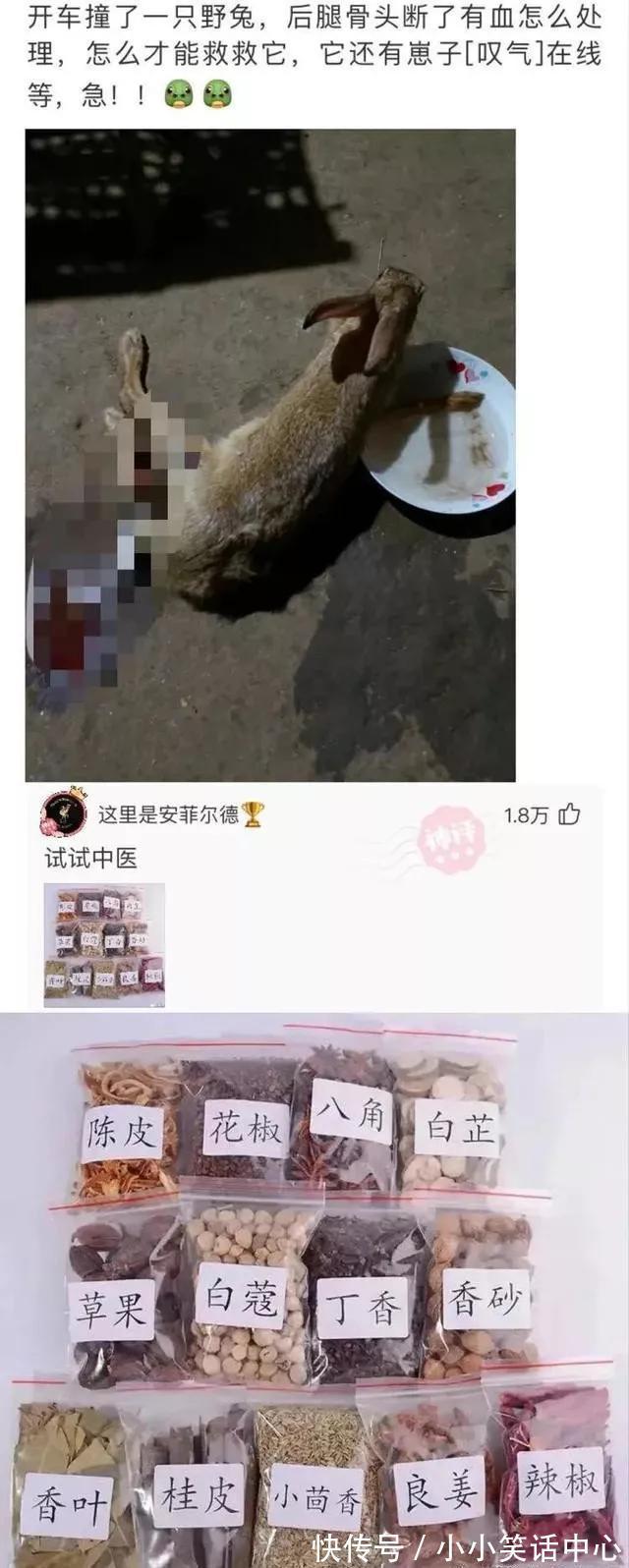 |今日笑话:关于前任,男生和女生不同看法