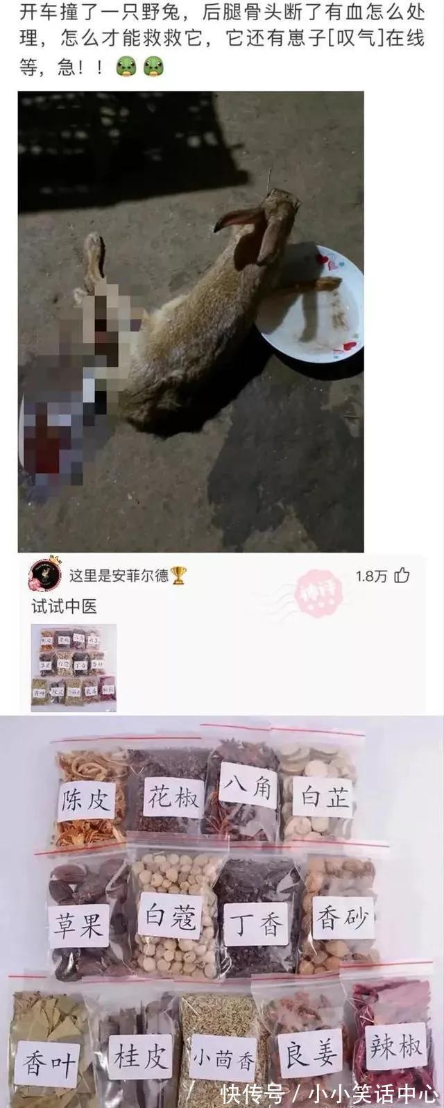 |今日笑话：关于前任，男生和女生不同看法