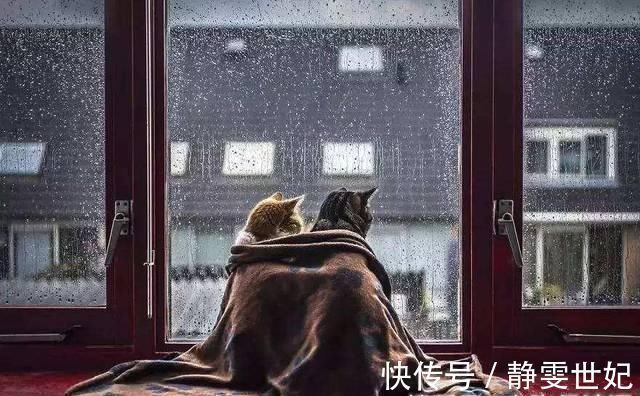 最后的诗句@一生写诗2万余首的诗人,28字写小雨,最后7个字乃是一句妙语