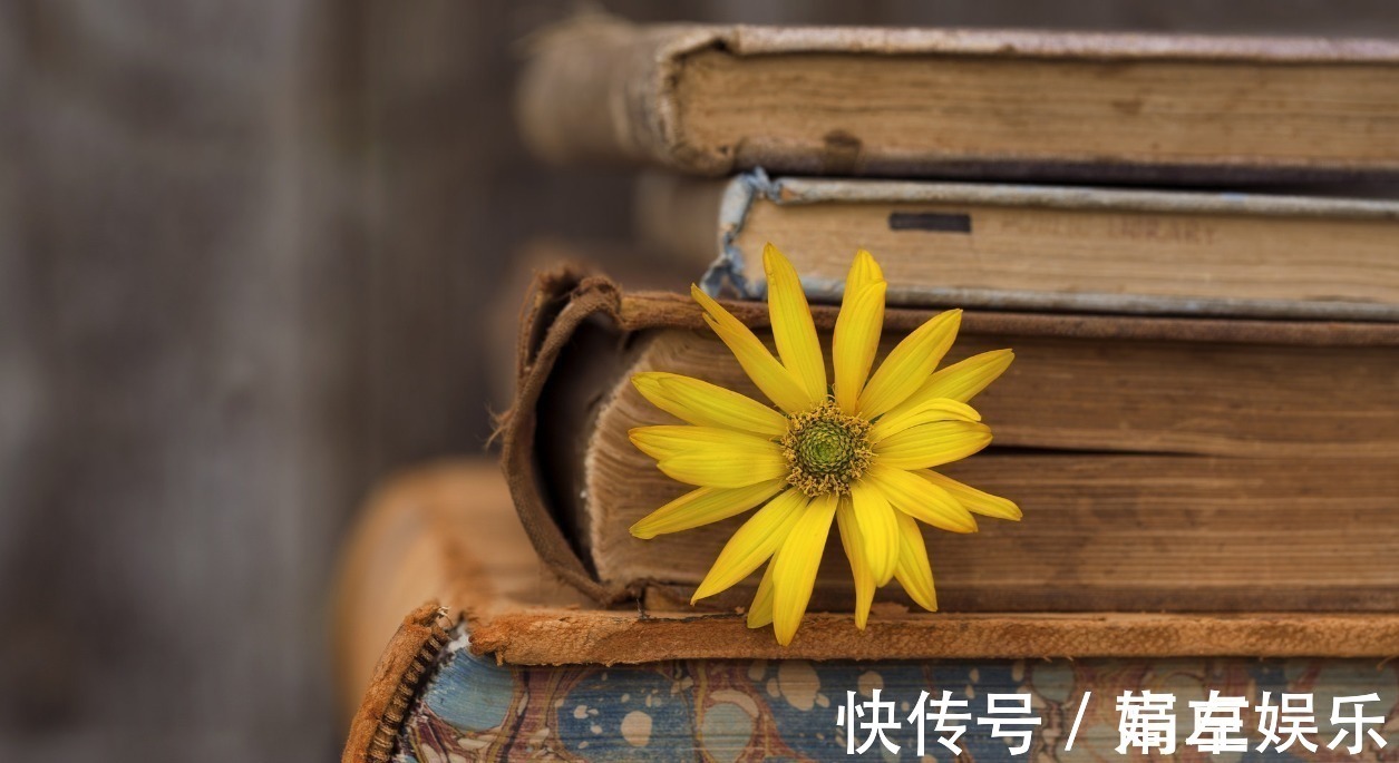 属于你&人间一切事,上天早注定:人再“争”,也争不过天