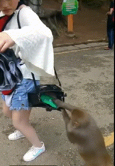 |搞笑GIF：我问女神爱不爱我 结果她发过来一张图