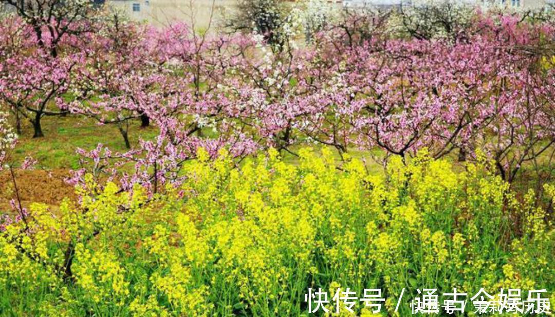 世人|辛弃疾这首词美得令人心醉，惊艳了世人800多年，值得我们一读！