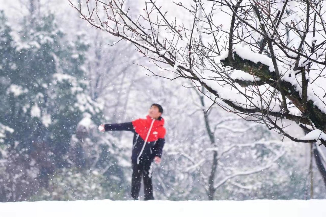 费玉清|踏雪寻梅暗香来，临安赏梅正当时~