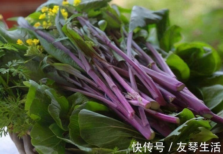 水溶性膳食纤维|对身体不错的3种食物,坚持每天吃一些,补充营养,身体棒棒哒!