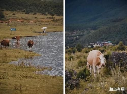 荒野|雪山脚下、荒野之上，此生必体验一次的神秘Safari之旅