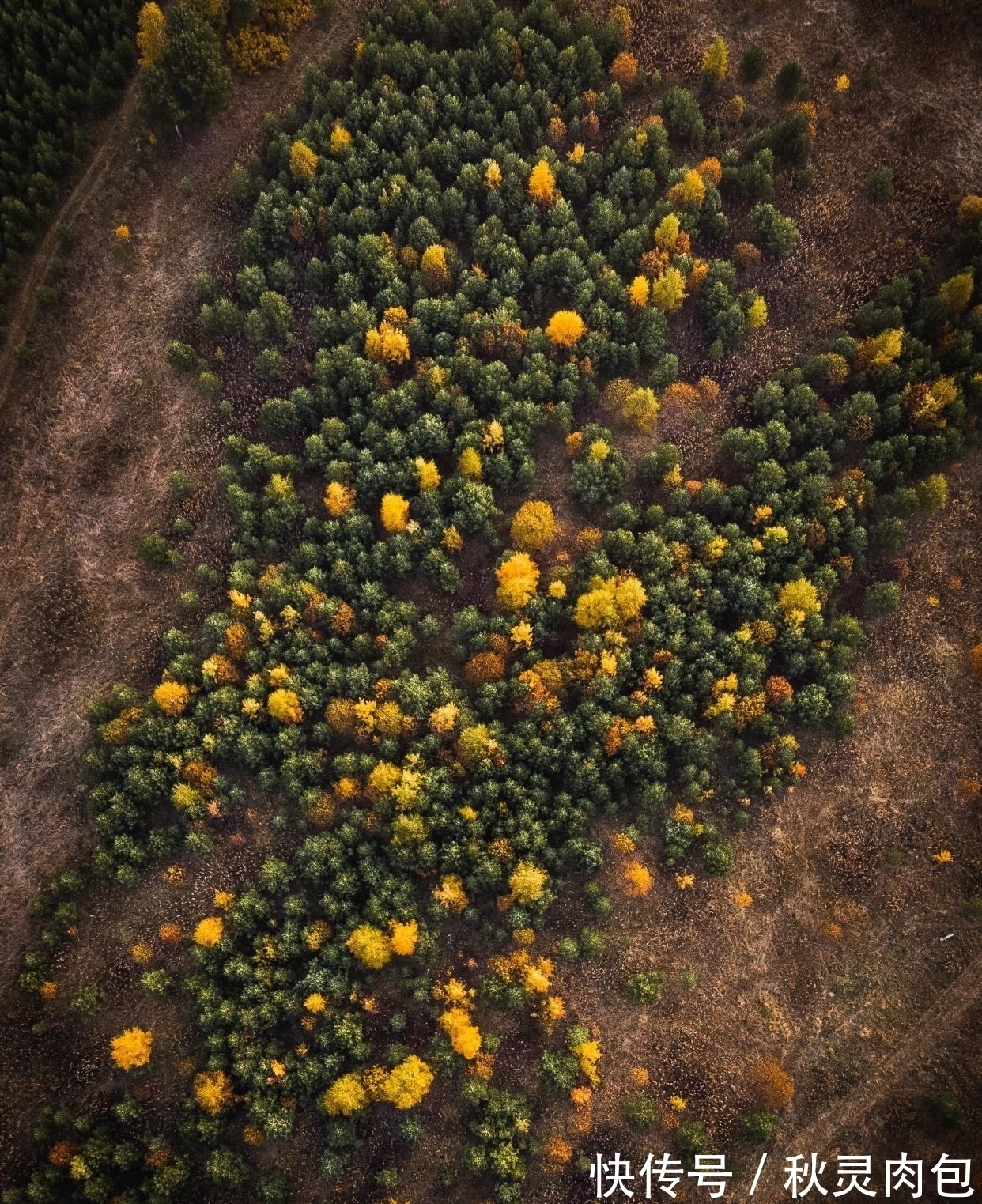 宋代&宋代一首描写农村生活的短诗,只有短短28字,又美好又真实