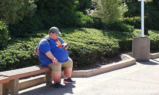 屁股|马未都:300斤胖子一屁股坐塌明代“交椅”,博物馆追悔莫及!