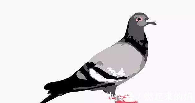 nike|最受瞩目的五位球鞋设计师随便玩玩就成了鞋坛大神!