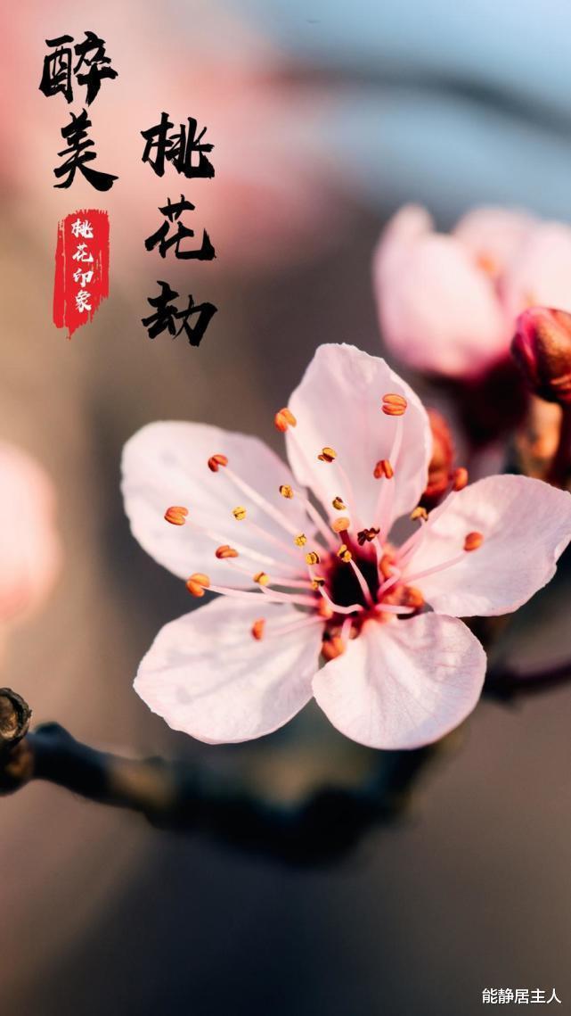 手撕@古代女子如何手撕相公比今天不知厉害多少倍,看后瑟瑟发抖