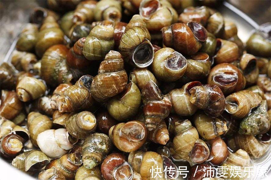 黑木耳|人到中年想长寿,多吃三种食物,排毒养颜、增强体质,气色也好!