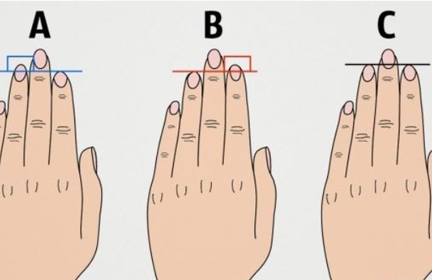 无名指|牛津期刊研究无名指和食指的长度，一对比你就能发现3个秘密！