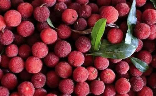 杨梅酒|聪明女性喜欢吃三种食物，补充营养、滋润皮肤，好吃又不贵！