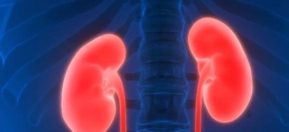 误区|枸杞“这样吃”就是找病!“一不喝、三不吃”,逃离枸杞养生误区