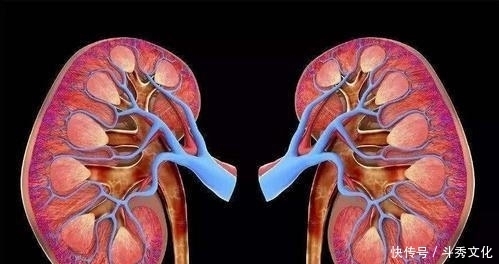 26个冷知识:你可能难以置信,但是它却真实存在