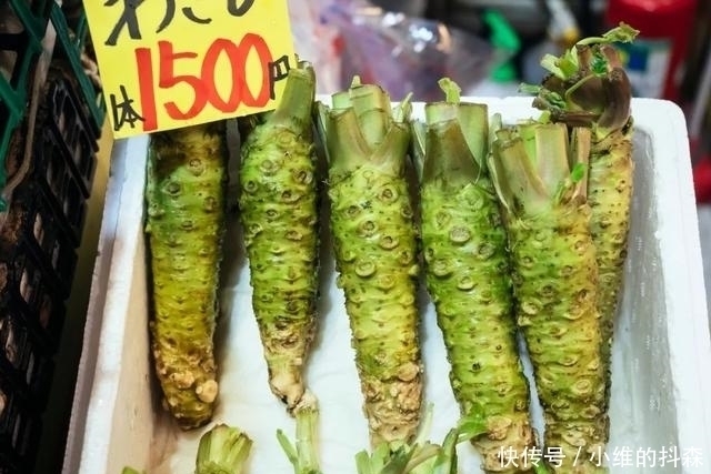  生长|芥末是一种酱料吗？错了，它其实来自一种植物，很多人不知道