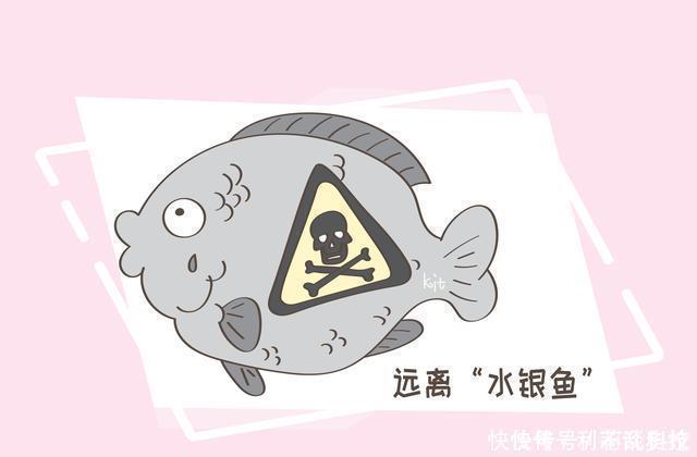 畸形|吃鱼对胎儿好但这几种会影响胎儿智力的鱼,孕妇尽量要少吃