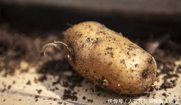 发芽的土豆不要扔，原来妙用这么多，可惜很多人都被它误导了！
