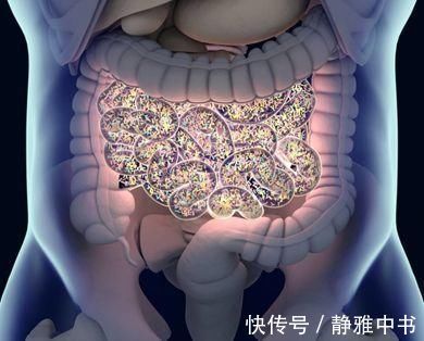 外卖|排便困难？便秘？学会三个小妙招，排便会轻松一些