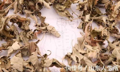 艾叶|脚上老茧不用慌,1个小妙方,助你轻松解决!但4类人并不适宜!