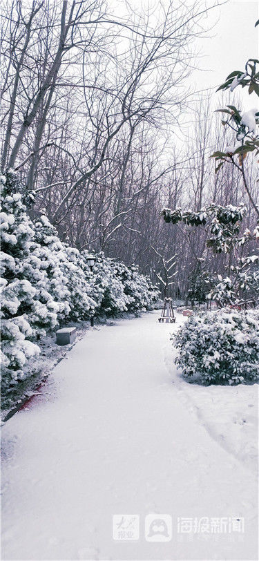 大雪|烟台今年的第一场大雪来啦!