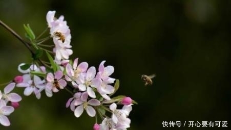 农历|子女生在农历这三月，有财神眷顾，运旺父母，日后事业顺利无比