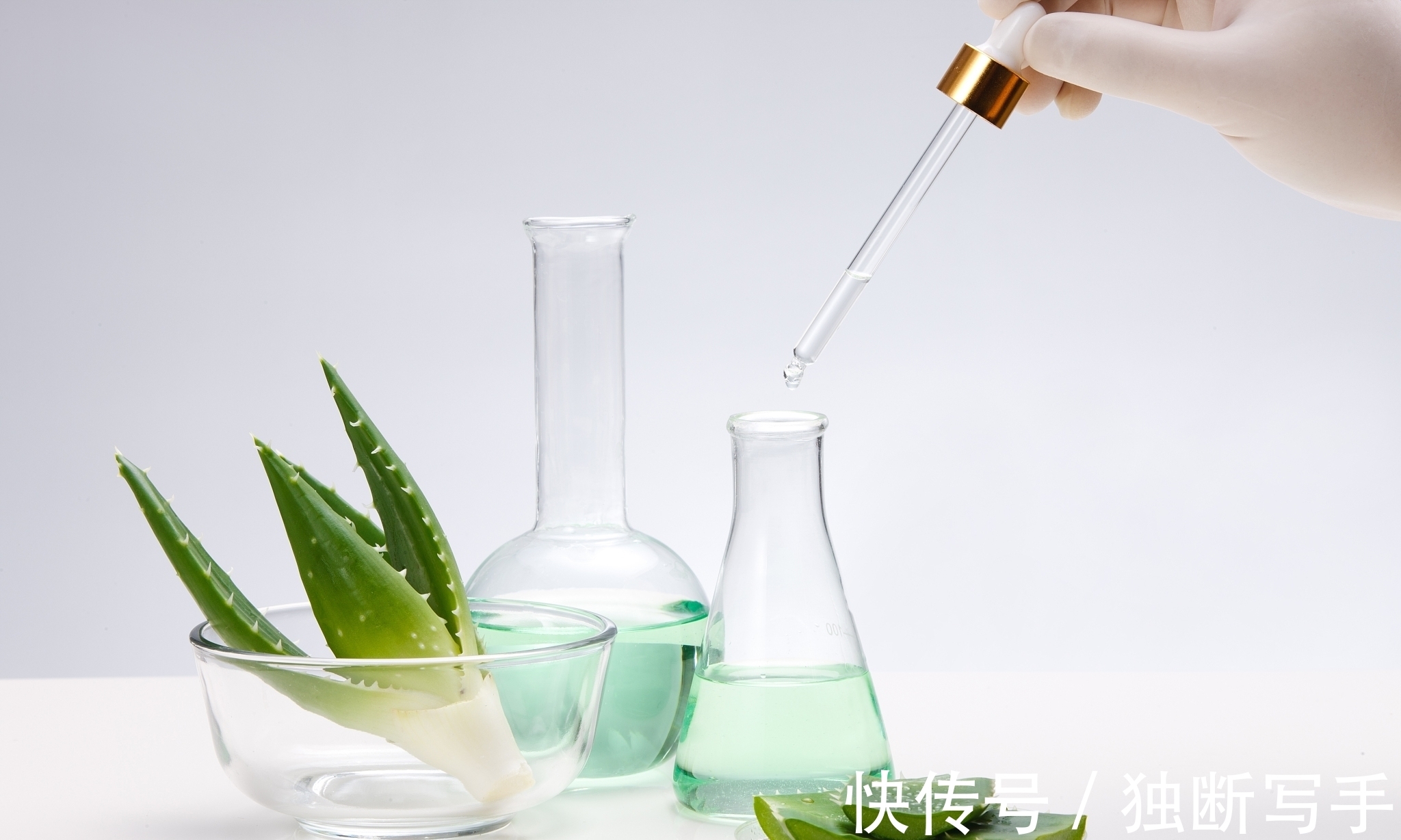 神农本草经|读本草经典,温故知新,中医不是太落后,而是太先进了!