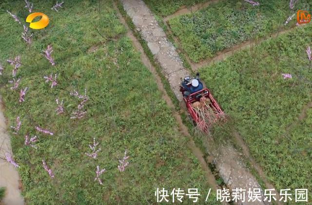 《向往的生活》顺利到不太真实,“下期预告”一细节戳破节目套路