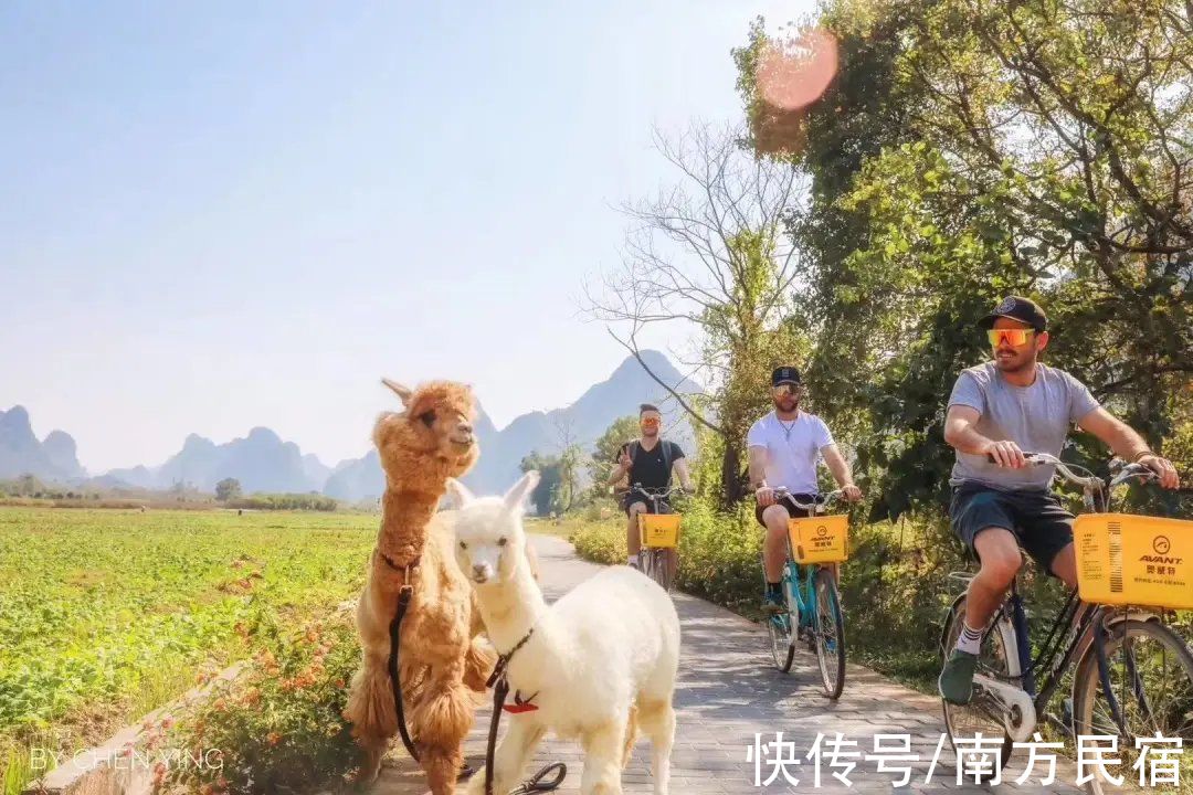 旅宿|隐匿在阳朔20元人民币中风景里的网红民宿，人在画中游丨芒果旅宿