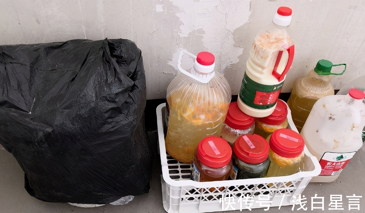 土壤|光用淘米水浇花没前途,加它们发酵好,养啥花都长得贼旺盛