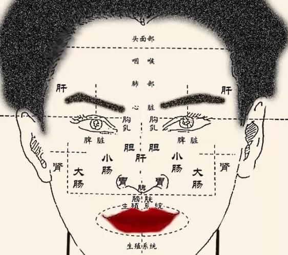  人体外部|中医面部望诊七诀！最详尽细节解说，看懂你也能当神医！速速珍藏