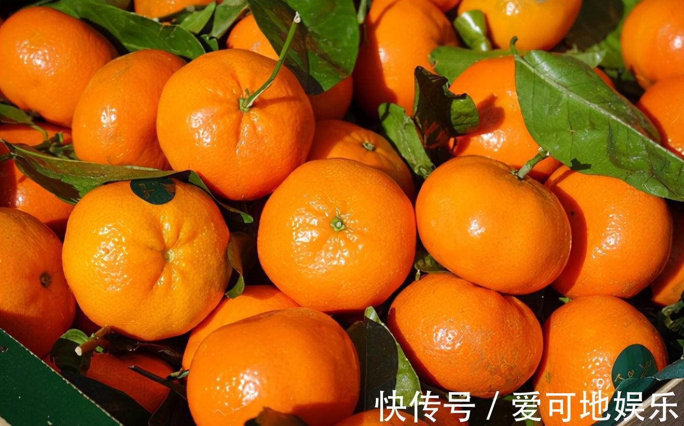 白萝卜|胃不好能吃橘子吗?医生提醒:胃不好的人,可以常吃5种养胃食物