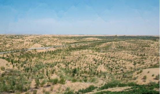 到底|美专家:中国人太天真,花费大量资金与力气去治沙,到底值不值?