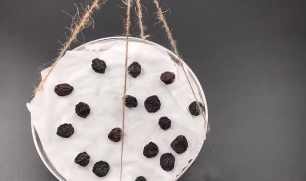 蒸格|家里的旧蒸格可别扔了，简单改造下，用处可真大，家家户户都需要