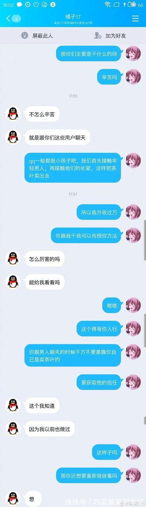 |搞笑:原来调戏骗子是这么欢乐,头一次觉得他们竟有些可怜……