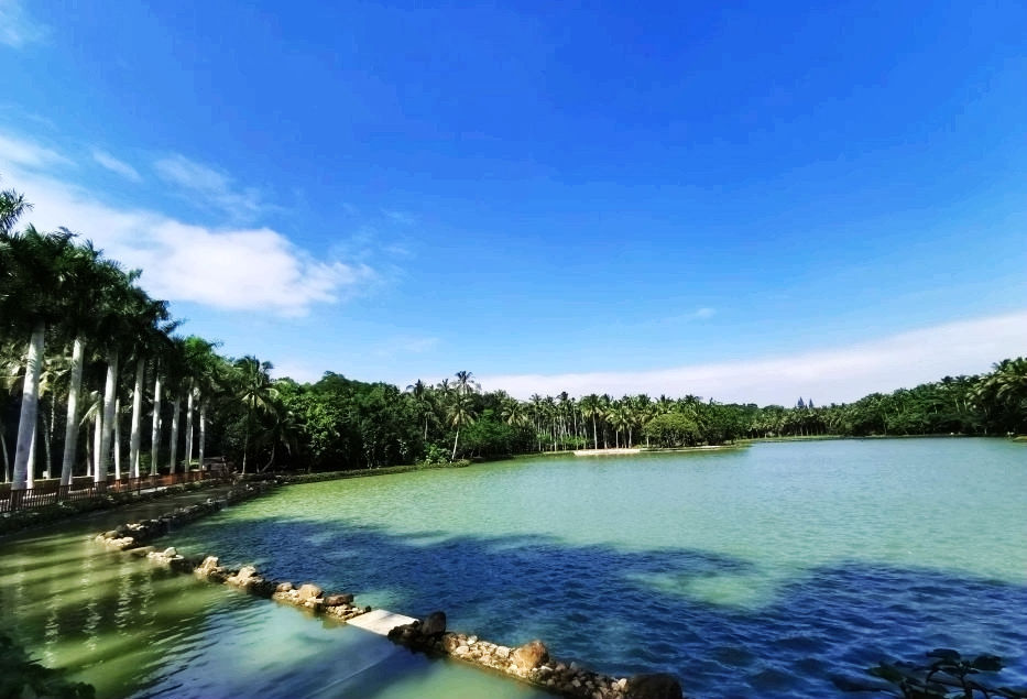 热带经济|美丽的植物园，独特的植物景观——游兴隆热带植物园