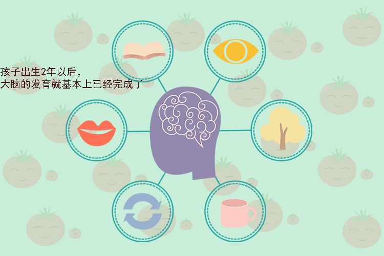 发育|两岁内的孩子有这些“坏毛病”,家长别着急阻止,对大脑发育好
