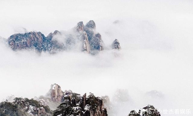 迎客松|谁才是“天下第一山”？两大名山的百年地位之争