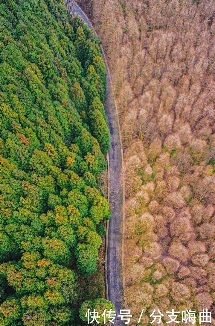 扎尕那|低调的美景、最美的天堂，你去这些省市去对了吗？