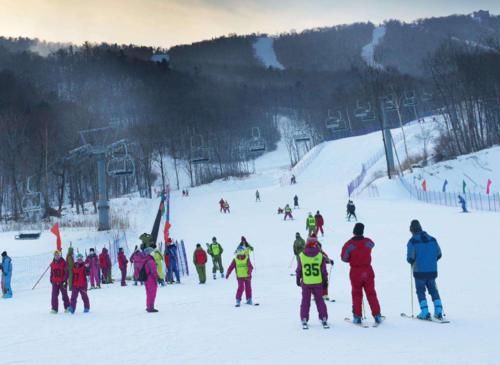 哈尔滨一滑雪场“过火”，被“文旅”点名，你还可以来这些地方