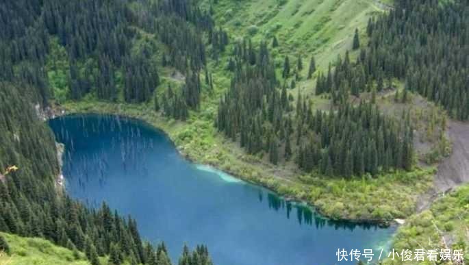 蒙山|你绝对没有见过倒着长在水里的树