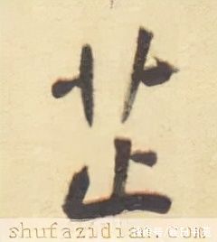 景明！「每日一字」 芷（2737）2022.02.25