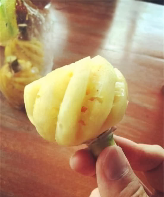 菠萝|女性不想早衰,多吃以下好食物,补充营养,清热解毒,肌肤更细腻