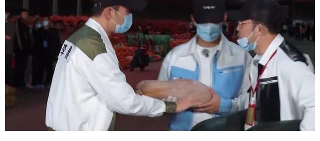 《奔跑吧》一共8位嘉宾,7位收到农民送的蔬菜,只有baby没收到