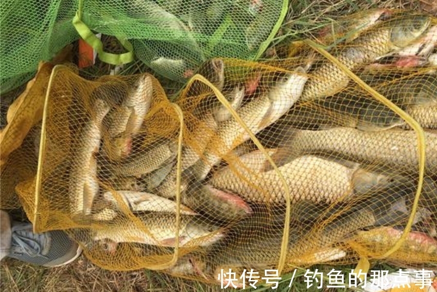 冬钓鱼口总不好？我从选漂到调漂只用了3招，一下竿就狂拉不断